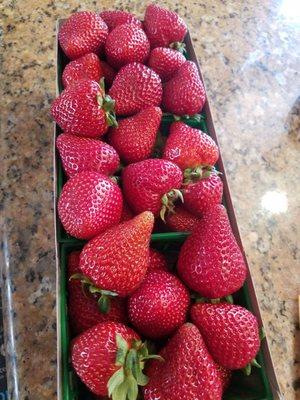 $8 For fresh,  red, strawberries sprayed in chemical and not organic