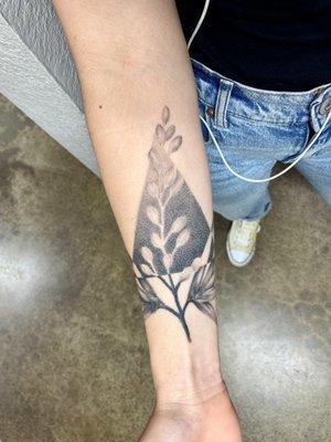 Negative space lupine- Healed a few months