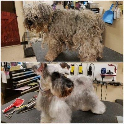 "Mazy" before and after !