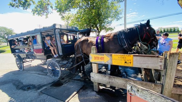 Carriage ready to head out on Sunday