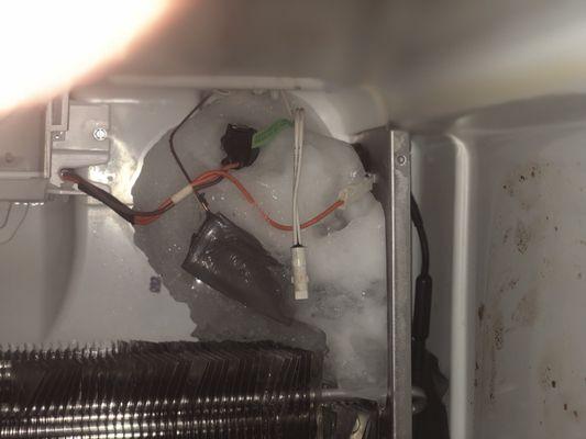 Ice buildup between walls of refrigerator due to drain being clogged. Design flaw in newer model.