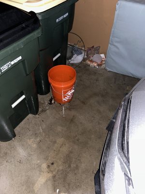 The bucket to attempt to catch the water that's leaking