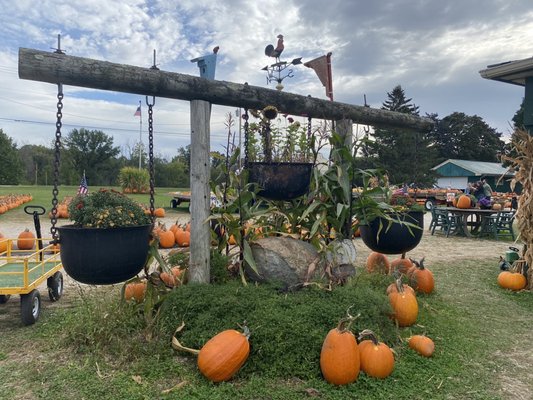 Charming pumpkin farm