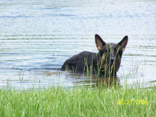 Crosby Boarding Kennel