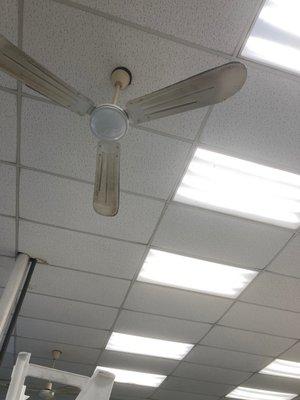 Can you see the thick dust and dirt on the fan? Wait, is that mold???