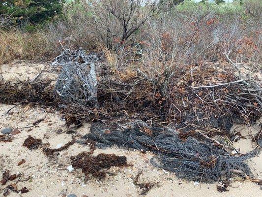 More litter, Trustees don't care