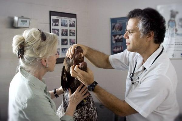 "Gus" receiving a comprehensive Oral Exam