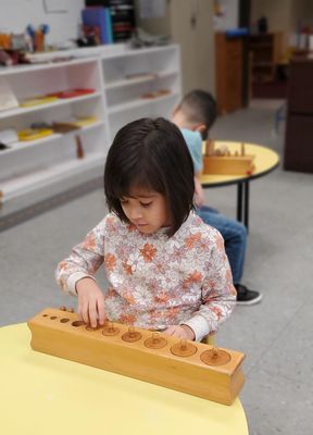 "... in every child is the seed that will mature into an adult."
-Dr. Maria Montessori