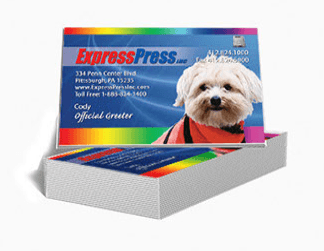 Express Press Inc