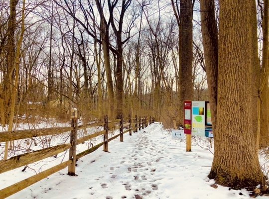 Stone Hills Preserve - Natural Lands