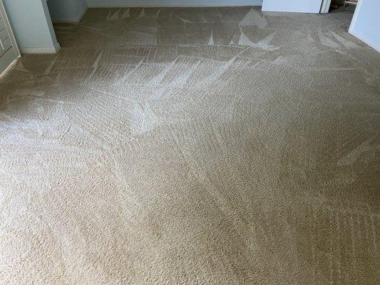 Example of my carpets post cleaning (one of the rooms)