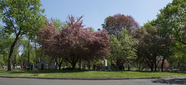 Evergreen Cemetery Hillside NJ - Gate