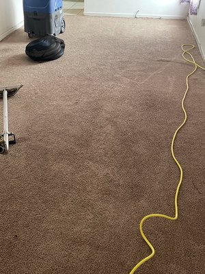 Carpet cleaning