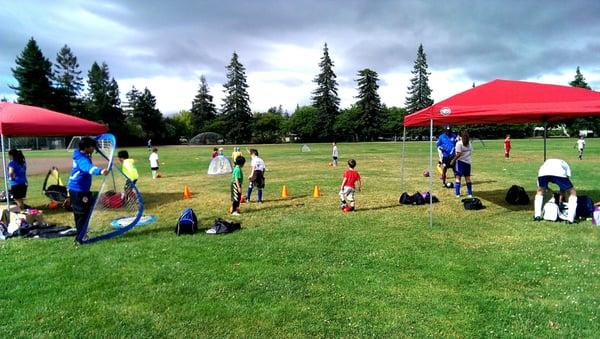 One of the camps in Palo Alto. They have camps and clinics all over the bay area!