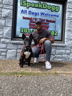 Basic obedience graduate Bo