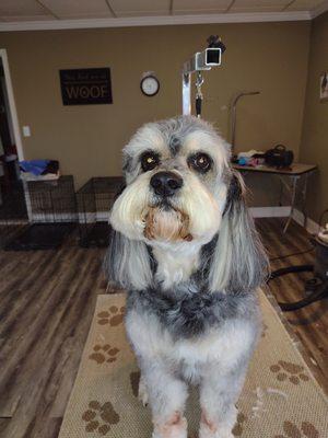 The handsome Eli in for his spa day