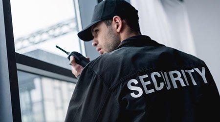 wesafeguard security guard