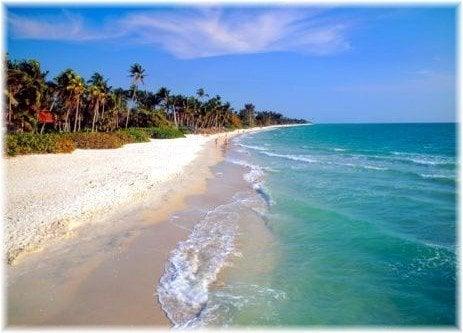 Naples Beachfront Looking South