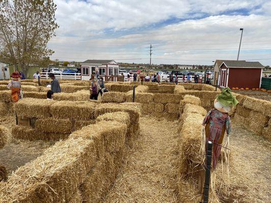 Hay bale maze for the kids.