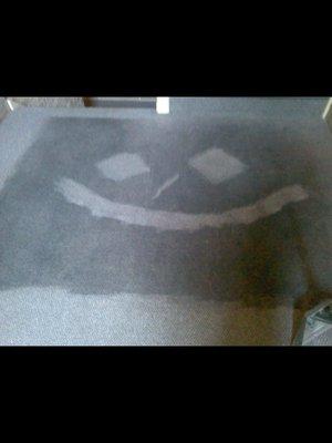 Clean carpet is happy carpet