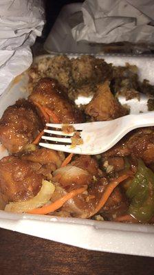 Nasty I ordered general Tso this was disgusting then to have hair in it nasty do not waste your money