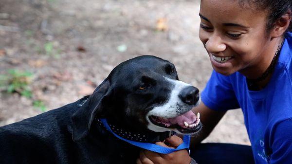 Dogs can run, play, splash in our pool, snuggle up with a buddy, get lavished with attention or simply hang out with friends.