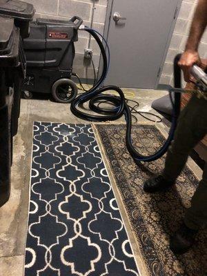 Potomac Area rugs cleaning