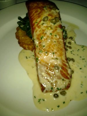 Salmon