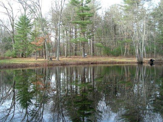 Stocked trout pond