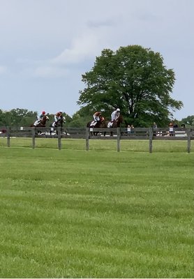 Potomac Hunt Races