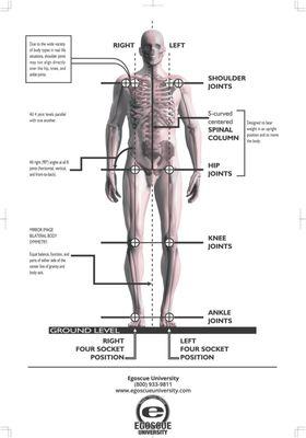 Optimal Posture & Alignment is imperative if you want to live a pain free life without limitations.