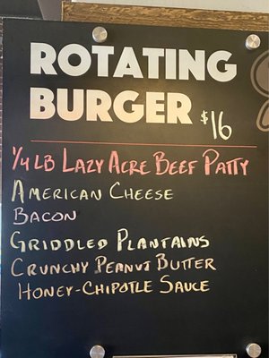 Rotating Burger description