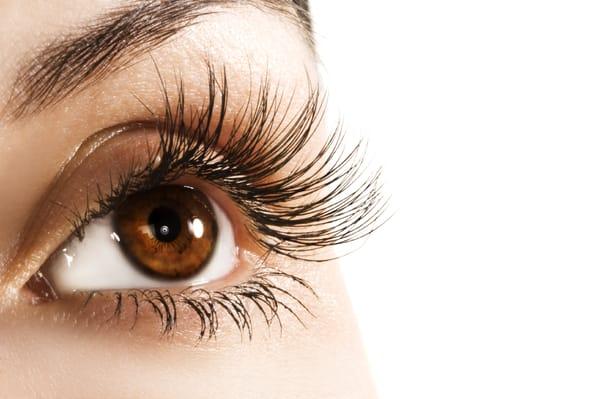 Skin Care & Eyelash Extensions Studio