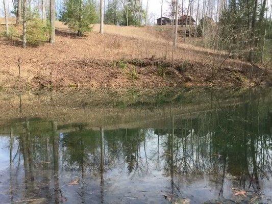 The view from the pond up to the house and cabin.