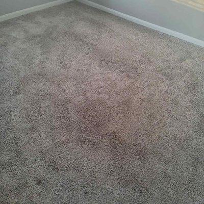 Carpet with glare from camera and standard indentations from furnitures