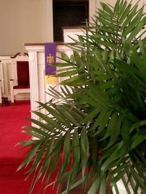 Palm Sunday