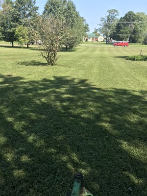 A yard we mow