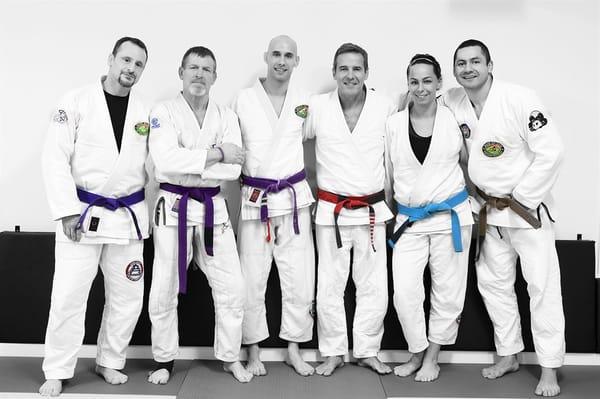 Gracie BJJ: Team Pedro Sauer!