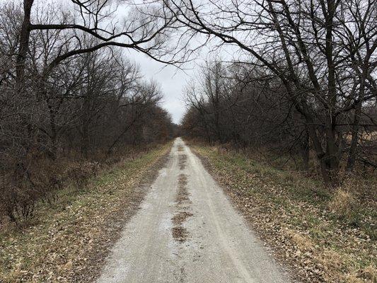 Jamaica North Trail looking north toward Lincoln.