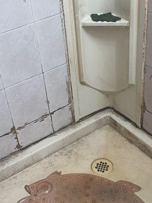 Bathroom cleaning before picture