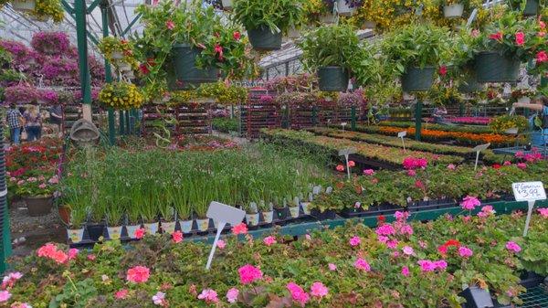 Calareso's Farm Stand