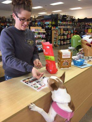 Birthday treats from the staff at checkout