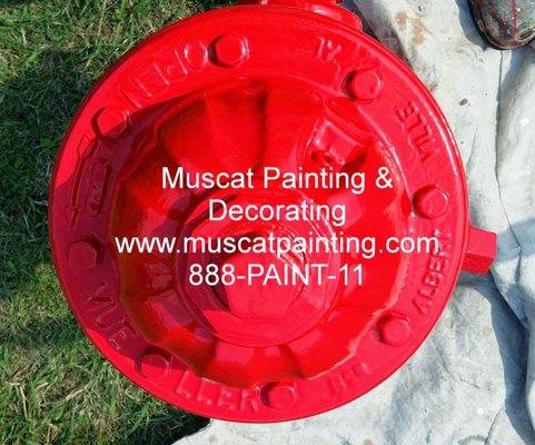 Fire hydrant sandblasting painting polysiloxane muscatpainting.com