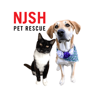 NJSH Pet Rescue helps homeless dogs in New  Jersey.