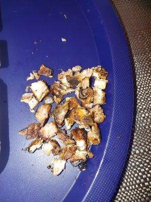 bones from meal 2