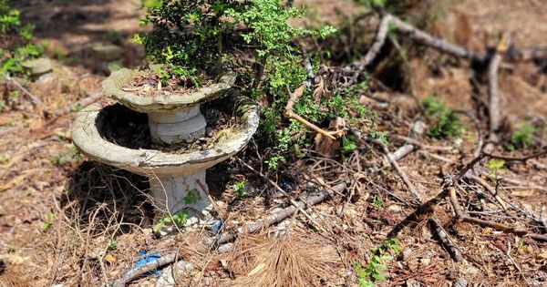 Damaged fountain, they removed top tier they said for safety