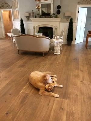 Rossel flooring in Sarasota, purchased and installed beautifully by The Wood Floor Store, Sarasota, FL.