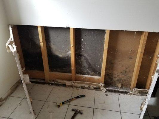 Whats behind your drywall? Mold! Call us for FREE inspection today!Indoor Black MOLD is Dangeres!