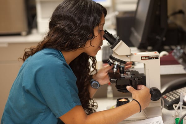 In-house laboratory