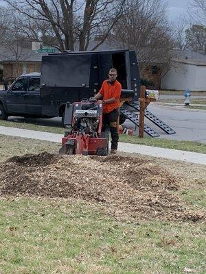 Stump grinding